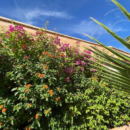 Riad Zouhour Marrakesh Ngoại thất bức ảnh