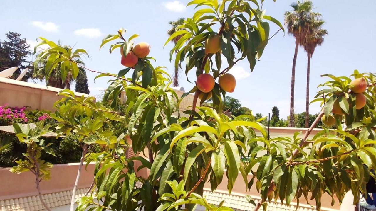 Riad Zouhour Marrakesh Ngoại thất bức ảnh