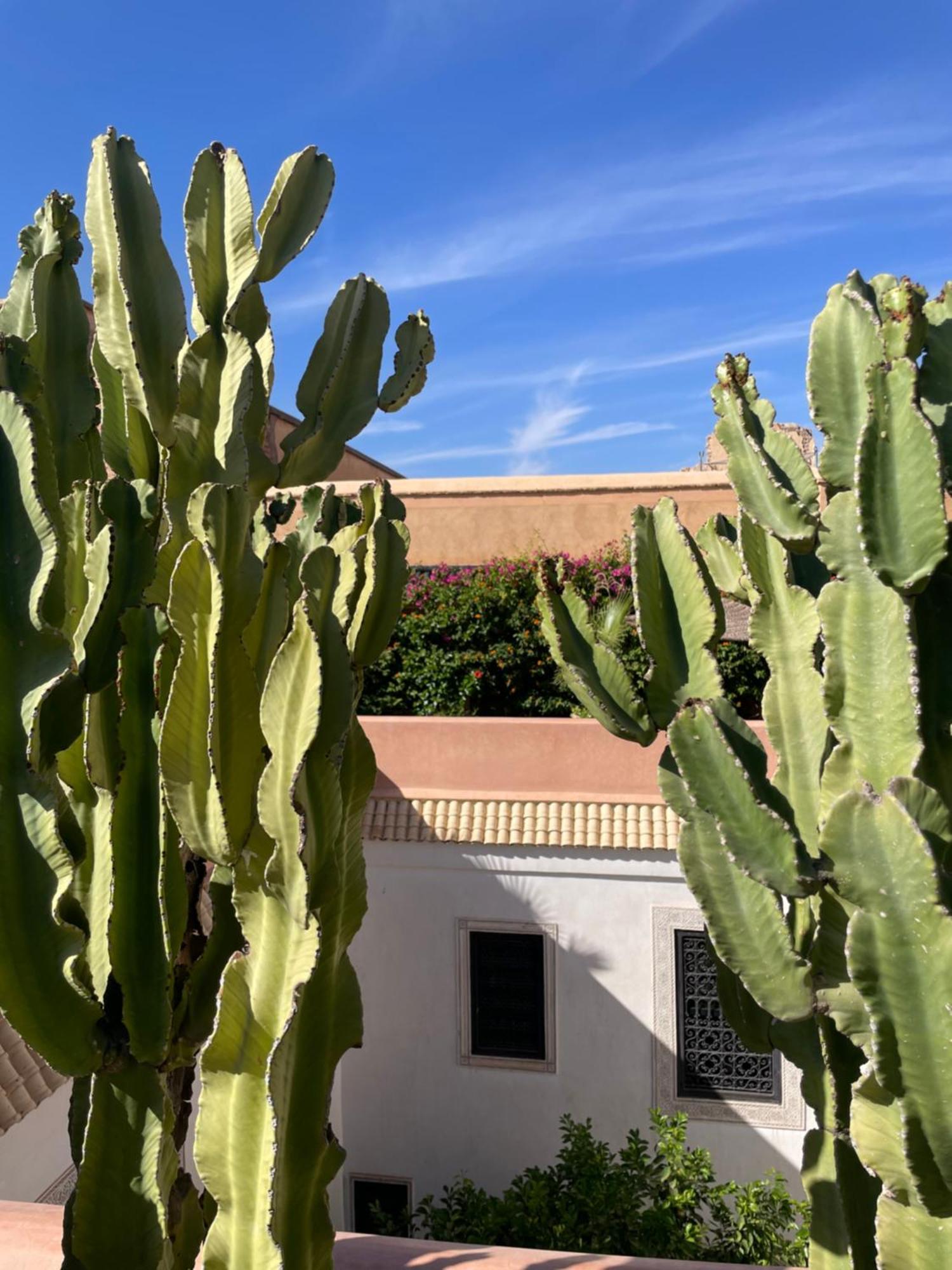 Riad Zouhour Marrakesh Ngoại thất bức ảnh