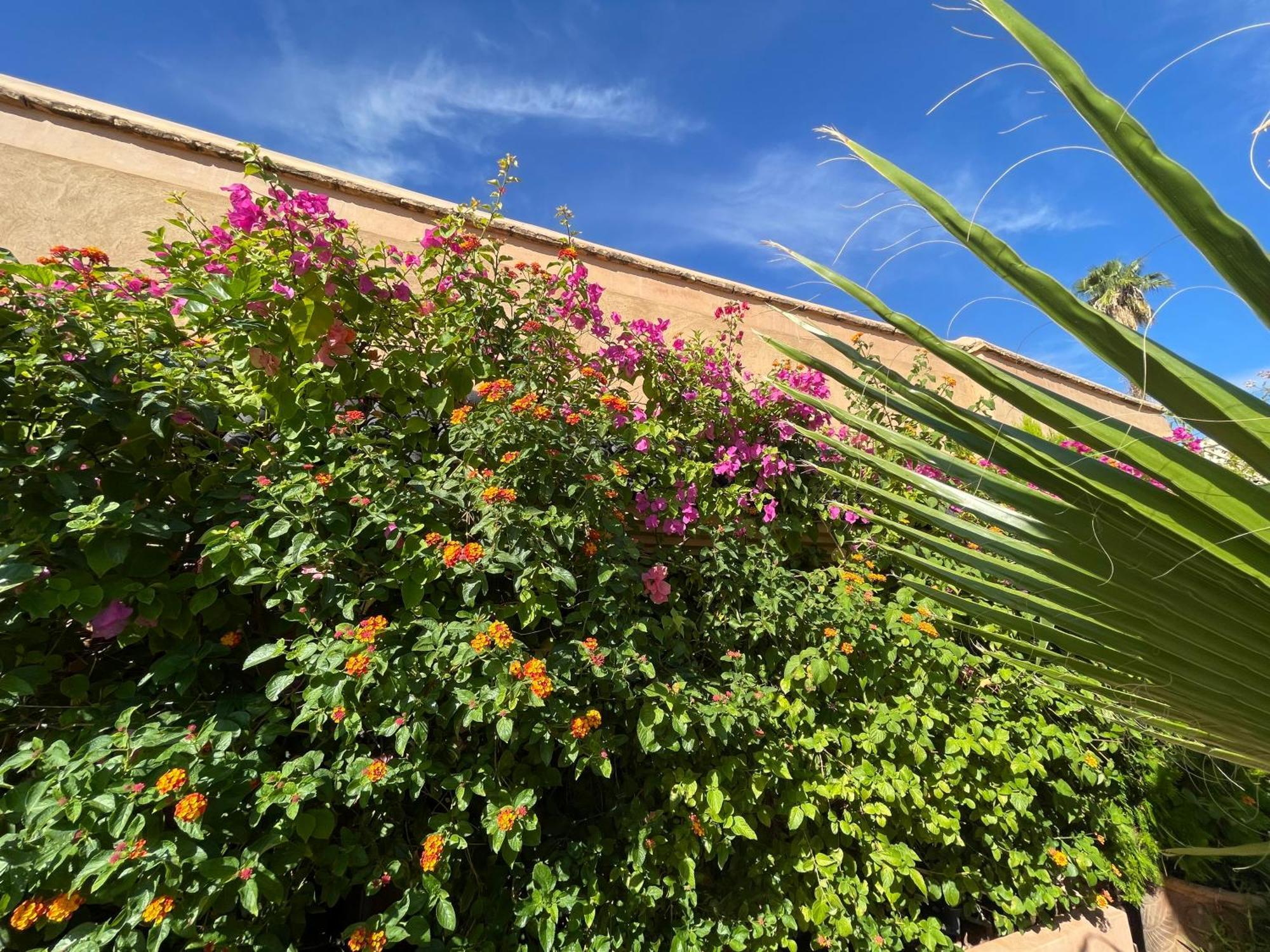 Riad Zouhour Marrakesh Ngoại thất bức ảnh